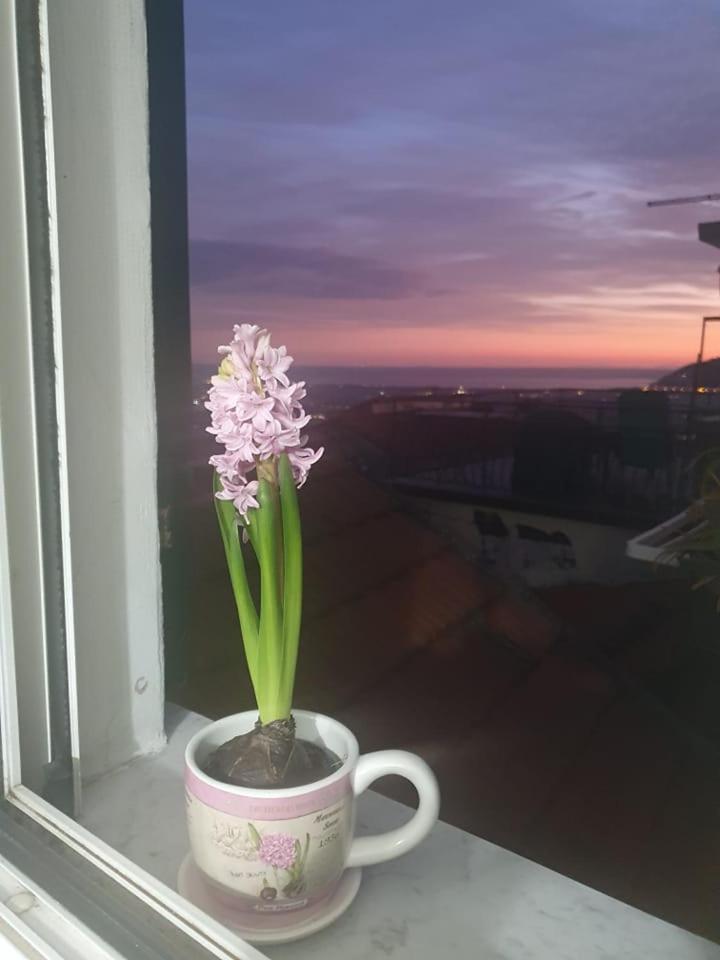Appartamento Bellavista Castelnuovo Magra Dış mekan fotoğraf